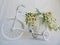 toy decorated bicycle with acacia flowers on a white background