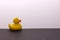 Toy duck. Children`s toy rubber duck