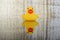 The toy duck heading towards a common direction. Symbolizing the concept of business goals, they embody focus, determination, and