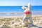 Toy Easter Bunny sits on the beach in glasses with on the sand