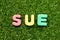 Toy foam letter in word sue on grass background