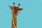 Toy giraffe with glasses and stethoscope on light blue background, space for text. Pediatrician practice