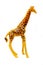 Toy giraffe over white