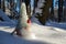 A toy gnome in a cap on the snow, a winter toy gnome sits in a white snowdrift