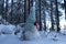 A toy gnome in a cap on the snow, a winter toy gnome sits in a white snowdrift