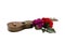 toy guitar and two roses on a white background