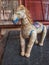 Toy horse statue made from vetiver plant