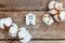 Toy House and cotton flowers on wooden background