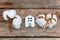 Toy House and cotton flowers on wooden background