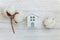 Toy House and cotton flowers on wooden background