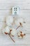 Toy House and cotton flowers on wooden background