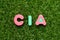 Toy letter in word CIA abbreviation of certified internal auditor on green grass background