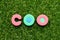 Toy letter in word COO abbreviation Chief operating officer on green grass background