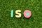 Toy letter in word iso on green grass background