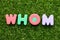 Toy letter in word whom on green grass background