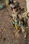 Toy man 1/6 scale soldier action figure miniature realistic