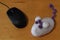 A toy mouse and a computer mouse