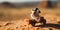 A toy mouse riding a toy car in the sand. Generative AI image.