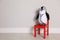 Toy penguin with eyeglasses and stethoscope near wall, space for text. Pediatrician practice