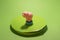 toy pig on chromakey isolated funny object green screen