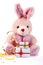 Toy pink rabbit with gifts