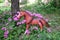 Toy pony among the flowers in the meadow