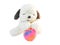 Toy puppy white.