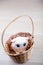 Toy rabbit basket wooden table