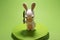 toy rabbit on chromakey isolated funny object green screen