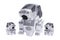 Toy Robot Dogs