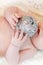 The toy silver apple in baby\'s hands