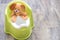 Toy sits on a baby pot. Baby potty training concept