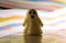 A toy smiling ghost stands against a background of multicolored stripes of bright light