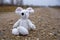 Toy soft mouse sits on a country road wet