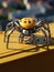 a toy spider on a yellow surface