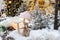 A toy squirrel sits in the snow against the backdrop of a Christmas tree. The concept of the new year.