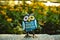 A toy of a surprised blue-colored owl with multi-colored eyes close-up stands on a stone against a background of yellow flowers in