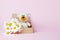 Toy teddy bear in a craft box with daisies isolated on a pink background. Baby background. Copy space, top view