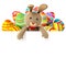 Toy teddy bunny