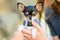 Toy terrier in his arms, dressed in clothes. love for animals, pets