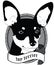 Toy terrier Portrait. Isolated Vector dog Illustration