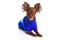 Toy terrier. Russian toy terrier on a white background. Funny li