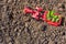 Toy Tractor and Seedlings on a Freshly Tilled Farm Field