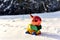 Toy truck with a Christmas ball on background of white snow in forest. Ð¡oncept of preparing for the celebration of New Year.