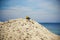 Toy truck stuck on beach sand hill top