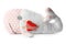 Toy whale with red heart attached by sticking plasters isolated