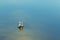 Toy wooden boat in the lake. Boat made of bark and leaves