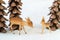 Toy wooden deer and pine cones in the form of christmas trees