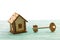 Toy wooden model house as symbol family and love concept on sunny