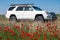 Toyota 4runner on spring meadow with blooming red poppies. Poppy flowers field with offroad vehicle